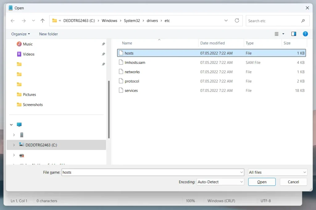 hosts file