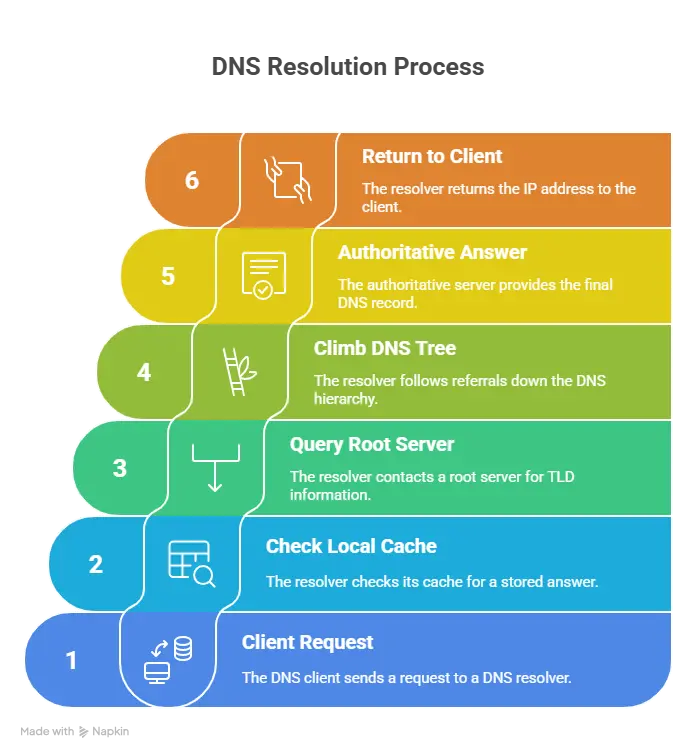 DNS resolution process