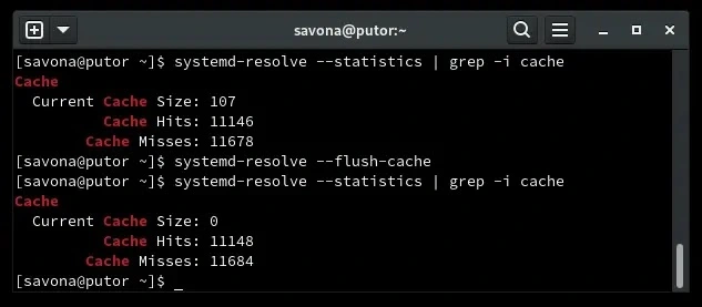 Open Terminal and run: sudo systemd-resolve --flush-caches