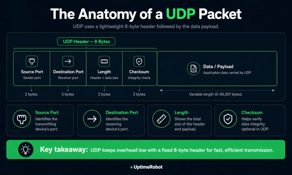 Anatomy of a UDP packet
